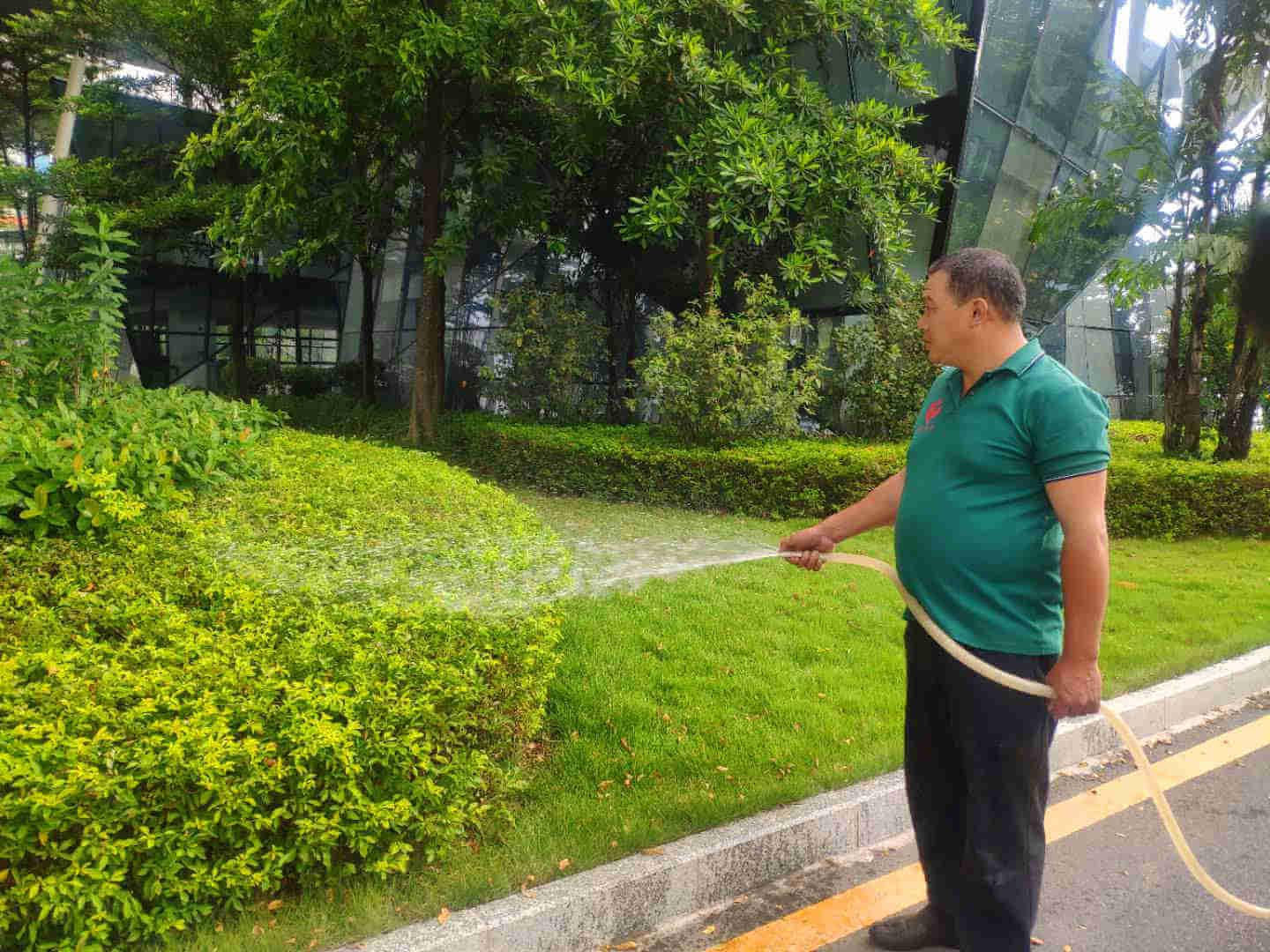园林菲律宾网赌合法平台后期养护浇水